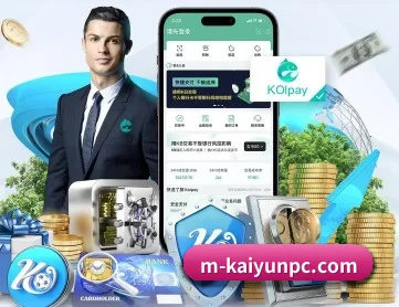 开云电脑版 APP 深度功能