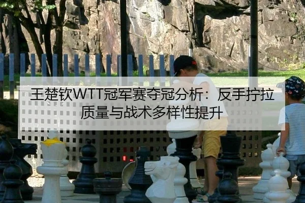 王楚钦WTT冠军赛夺冠分析：反手拧拉质量与战术多样性提升